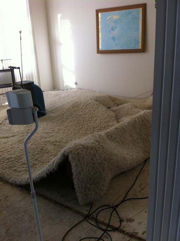 Project name